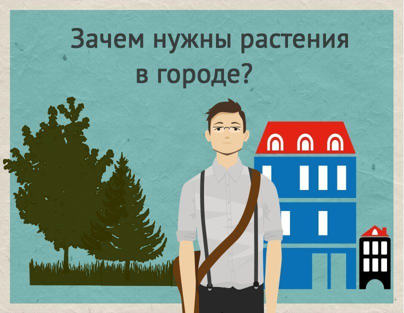 Зачем нужен дом. Зачем нужны растения в городе. Зачем нужны деревья в городе. Почему нужны растения. Картинка зачем нужны растения.