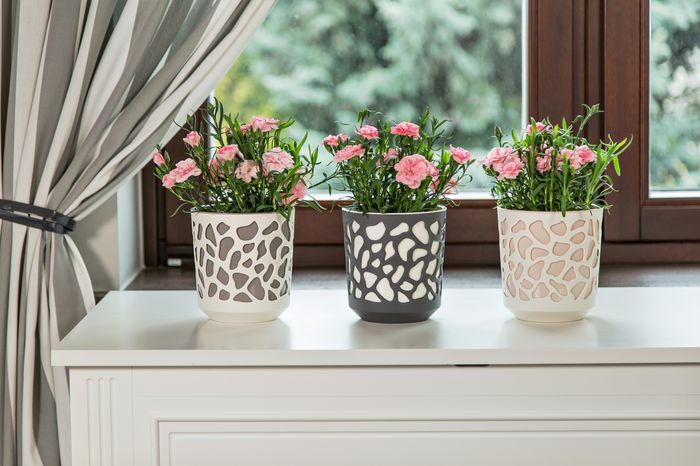 Flower pots Duo 140 anthracite with cream insertion, plastic (000006082)