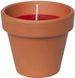 Candle pot Standart 7*7*0,2 bordo (000001342)